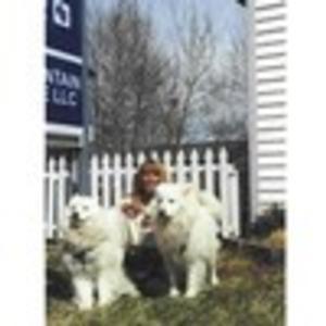 Send a message to Robyn Canda,
